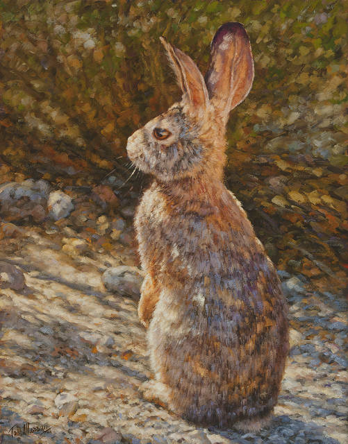 Albrecht The Rabbit 14x11 SOLD!
