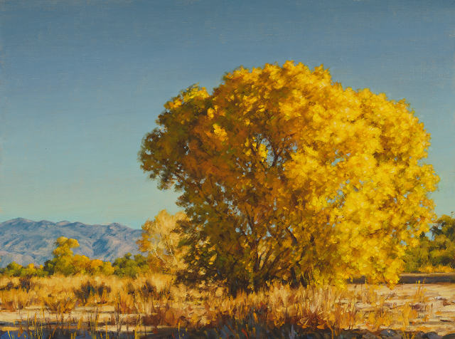 Fall In The Rillito 9x12  SOLD!