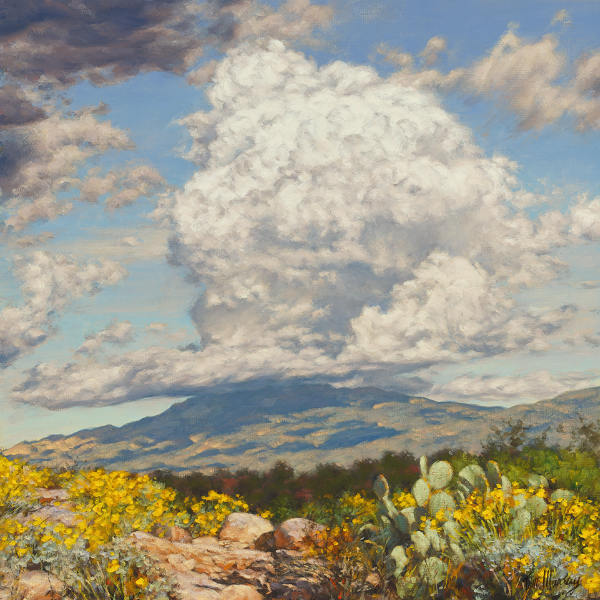 Rincon Monsoon 12x12 SOLD!