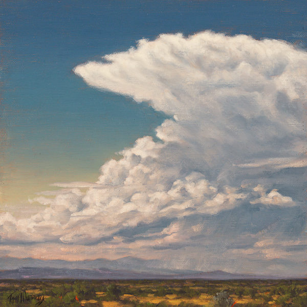 New Mexico Monsoon 8x8 SOLD!