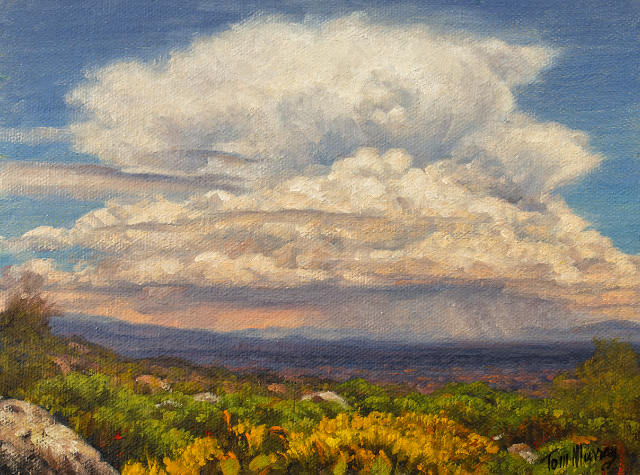 Tucson Monsoon 6x8 SOLD!