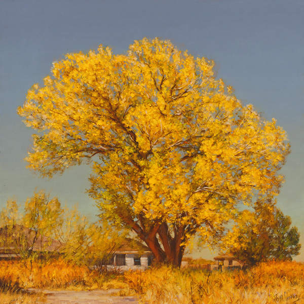 San Pedro House 12x12 SOLD!