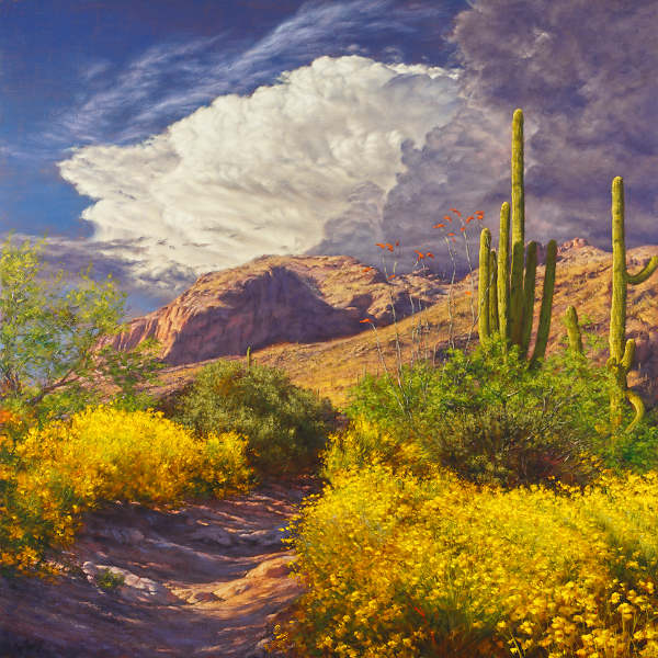 Earth And Sky Conspire 30x30 SOLD!