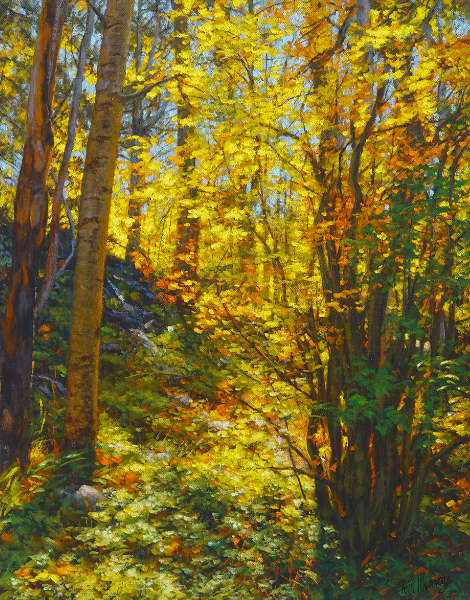 Forest Light 14x11 SOLD!