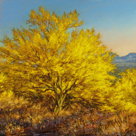 Palo Verde Spring 12x12 SOLD!