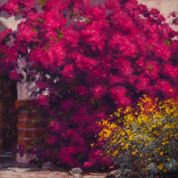 Bougainvillea Blooms 6x6 SOLD!