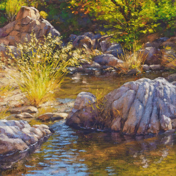 Catalina Oasis 8x8 SOLD!