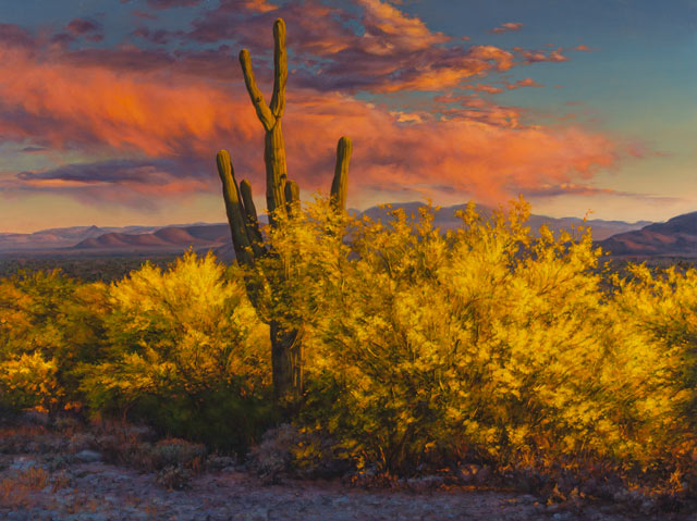 Spring Sundown 18x24 SOLD!