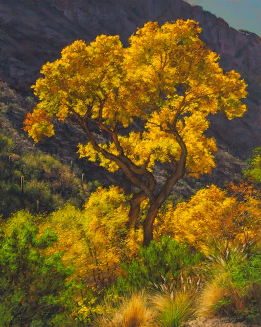 Canyon Gold 20x16 SOLD!