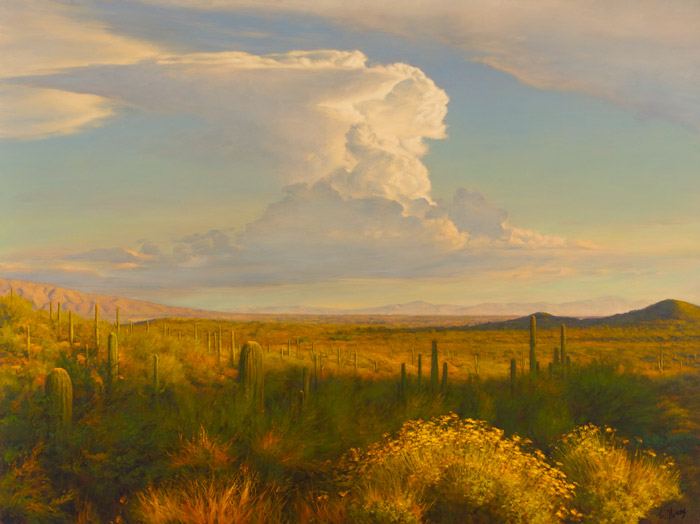 Across The Tucson Basin 30x40 SOLD!