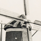 windmilldetailW.jpg